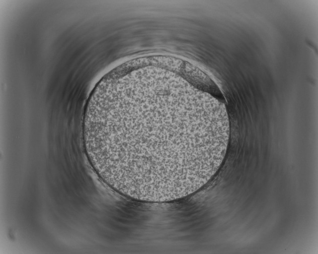 X0000095111534200801041148