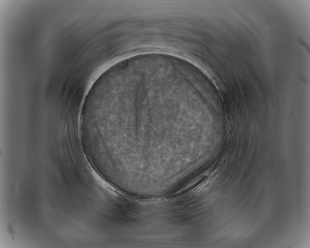 X0000095111535200801041148