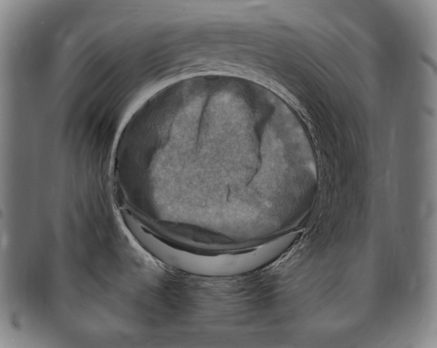 X0000095111536200801041148