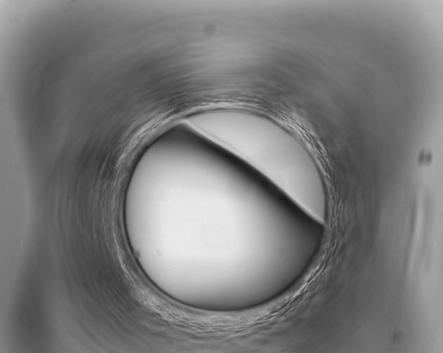 X0000095120001200712070954