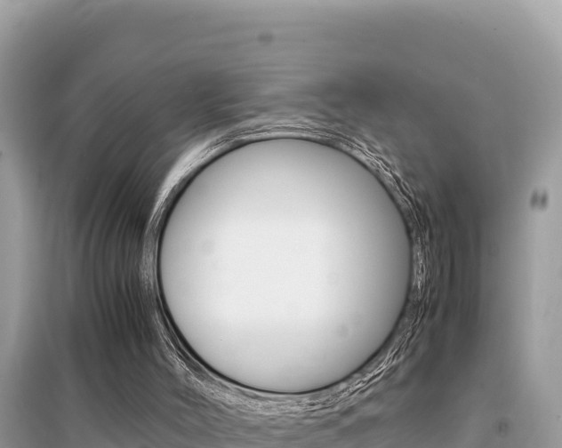 X0000095120004200712070954