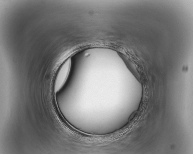 X0000095120005200712070954