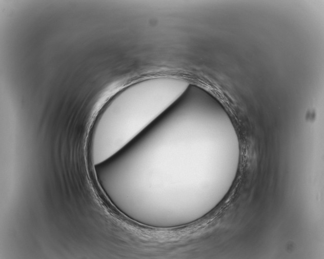X0000095120006200712070954