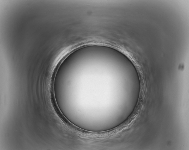 X0000095120007200712070954