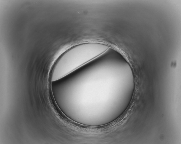 X0000095120008200712070954