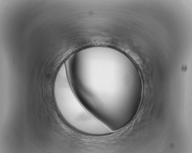 X0000095120009200712070954