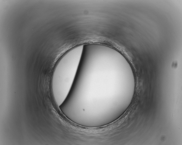 X0000095120010200712070954