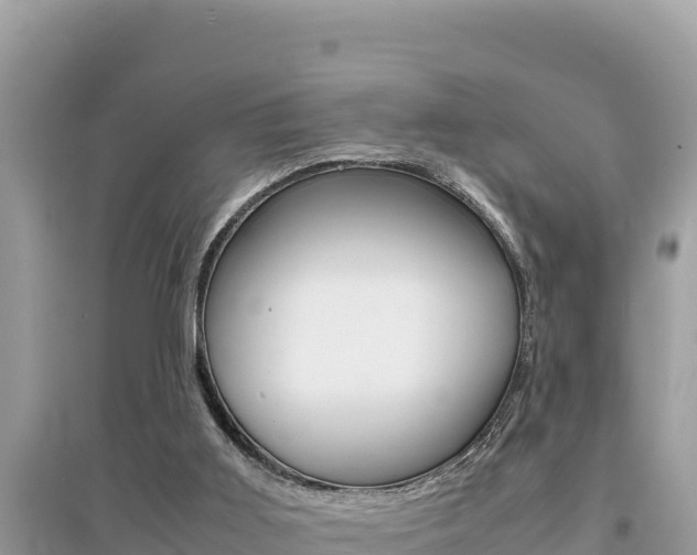 X0000095120011200712070954