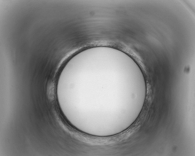 X0000095120012200712070954