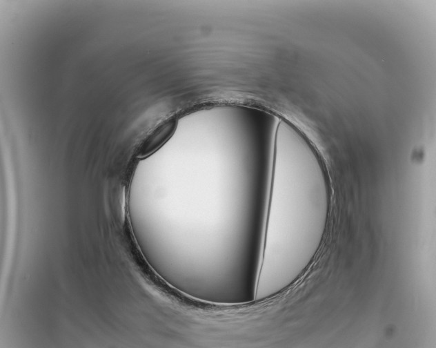 X0000095120013200712070954
