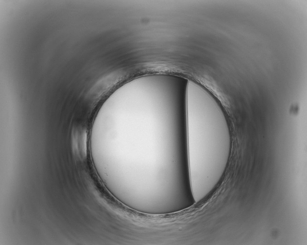 X0000095120014200712070954