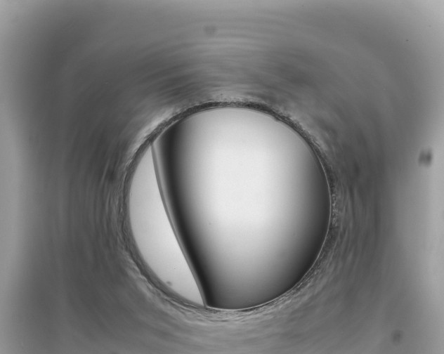 X0000095120015200712070954