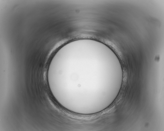 X0000095120016200712070954