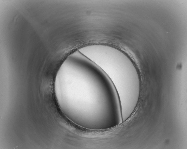 X0000095120017200712070954