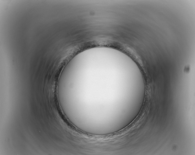 X0000095120018200712070954