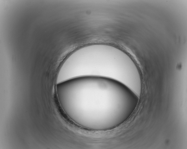 X0000095120019200712070954