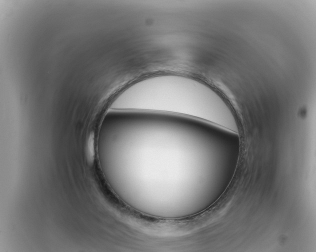 X0000095120020200712070954