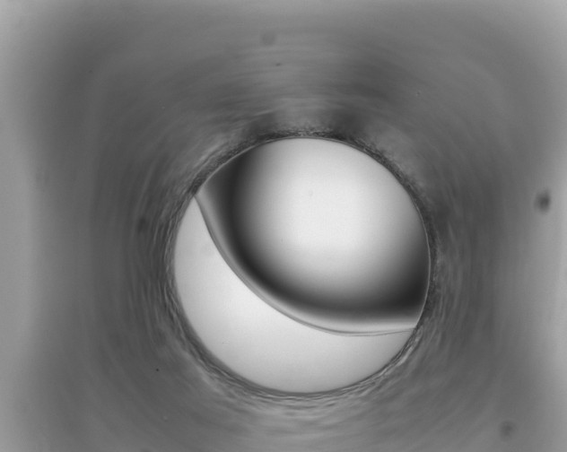 X0000095120021200712070954