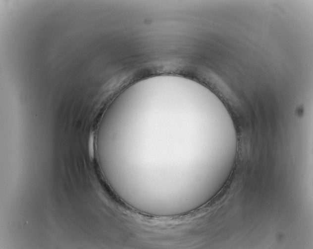 X0000095120022200712070954