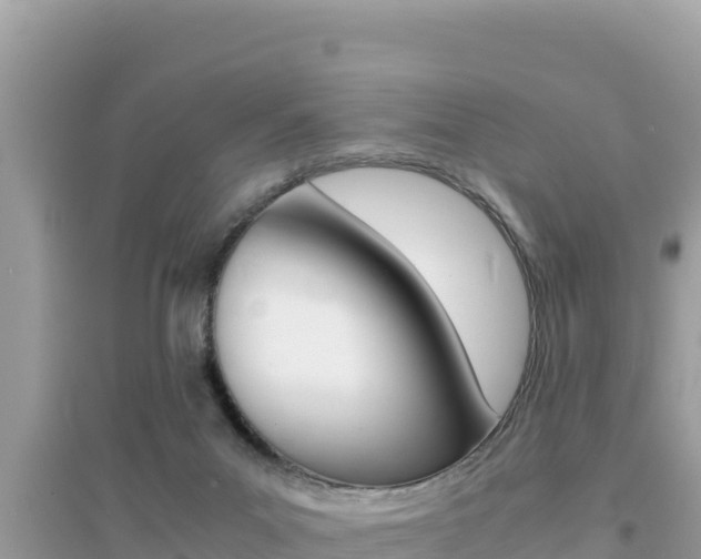 X0000095120023200712070954