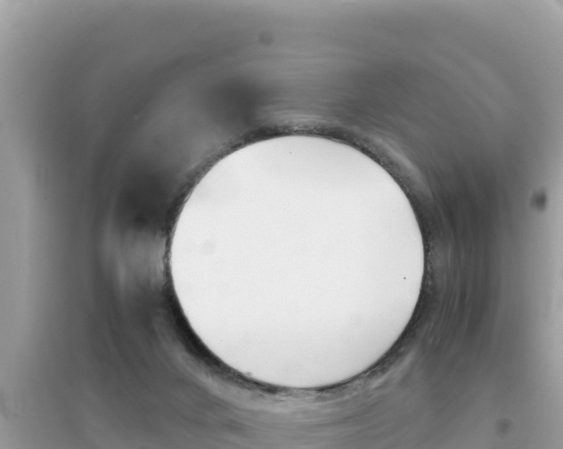 X0000095120024200712070954