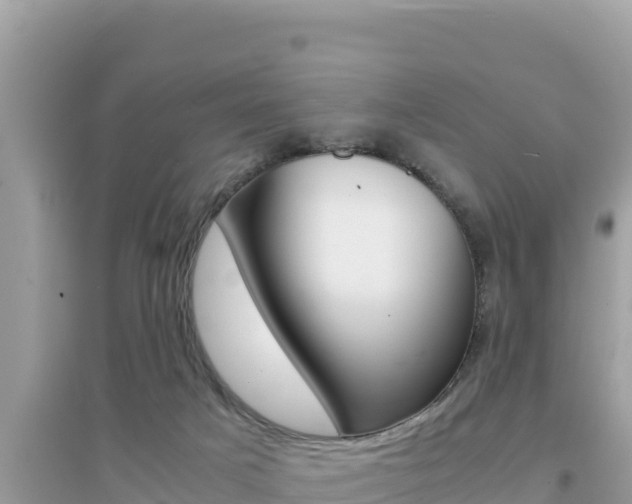 X0000095120025200712070954