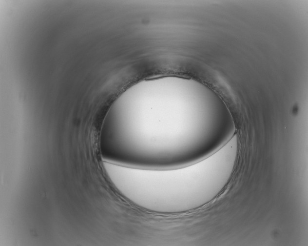 X0000095120029200712070954