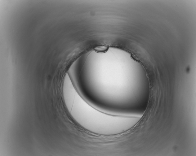 X0000095120031200712070954