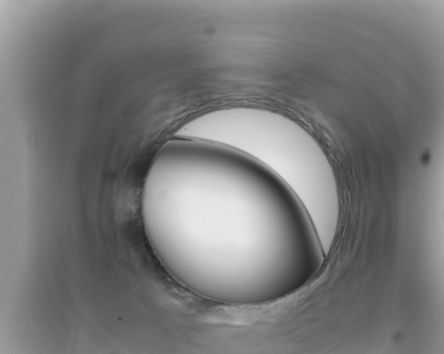 X0000095120033200712070954