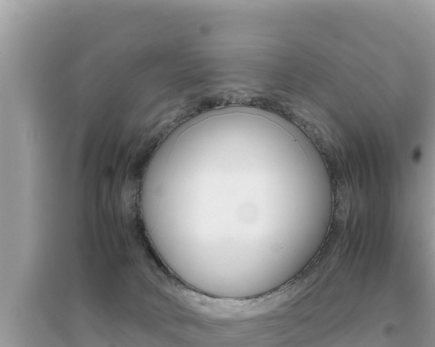 X0000095120034200712070954