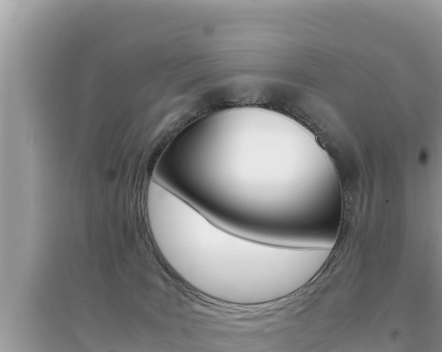 X0000095120035200712070954