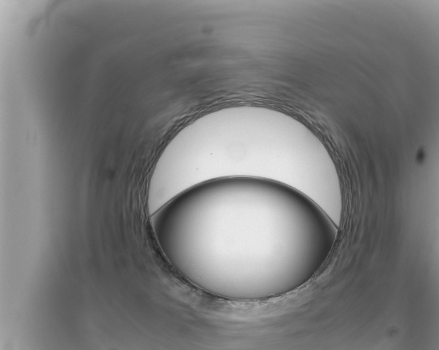 X0000095120037200712070954