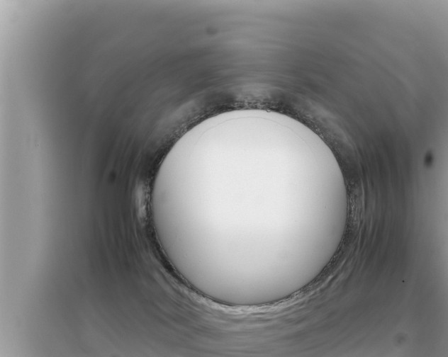 X0000095120038200712070954