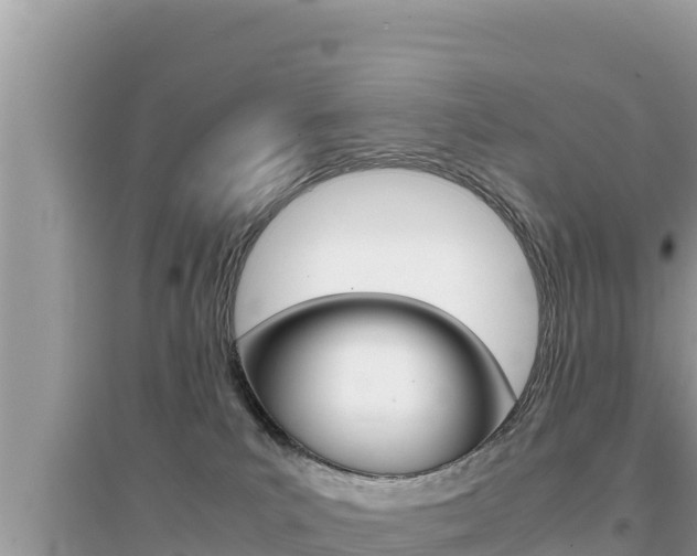 X0000095120039200712070954