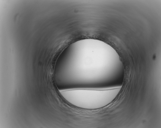 X0000095120040200712070954