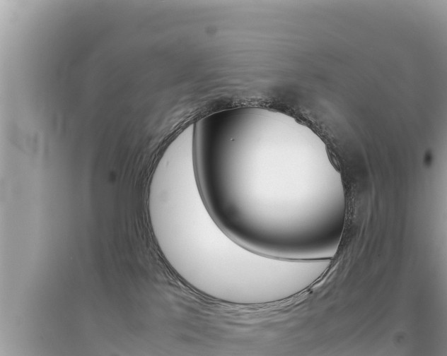 X0000095120041200712070954