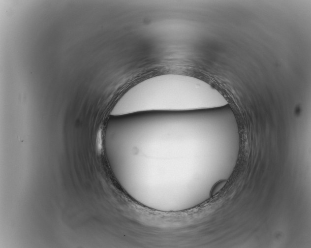 X0000095120042200712070954