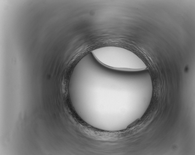 X0000095120044200712070954