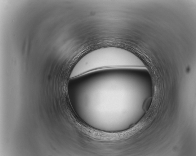 X0000095120048200712070954