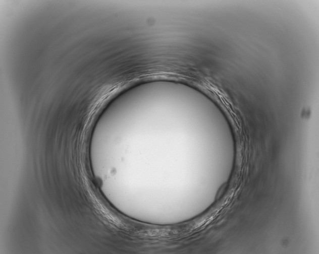 X0000095120049200712070953