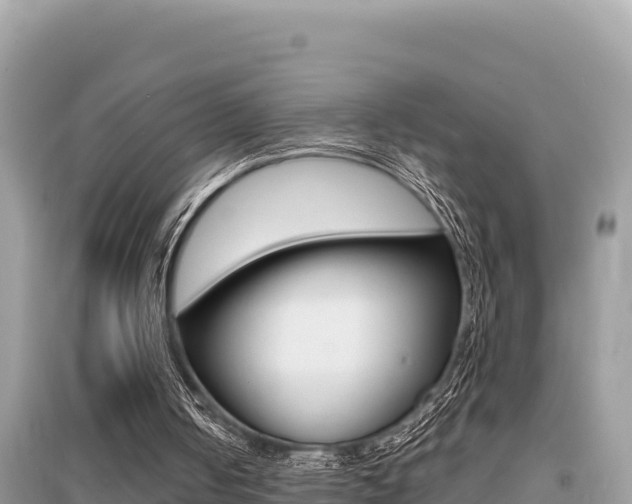 X0000095120050200712070953