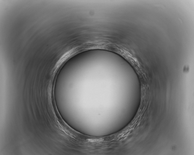 X0000095120051200712070953