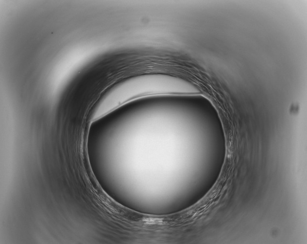 X0000095120052200712070953