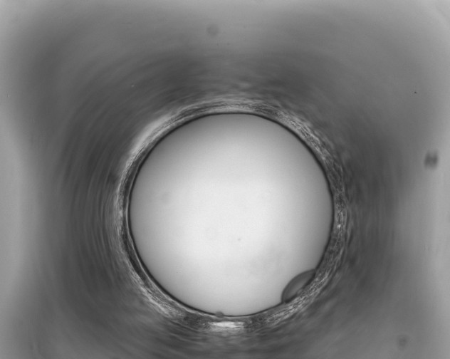 X0000095120053200712070953