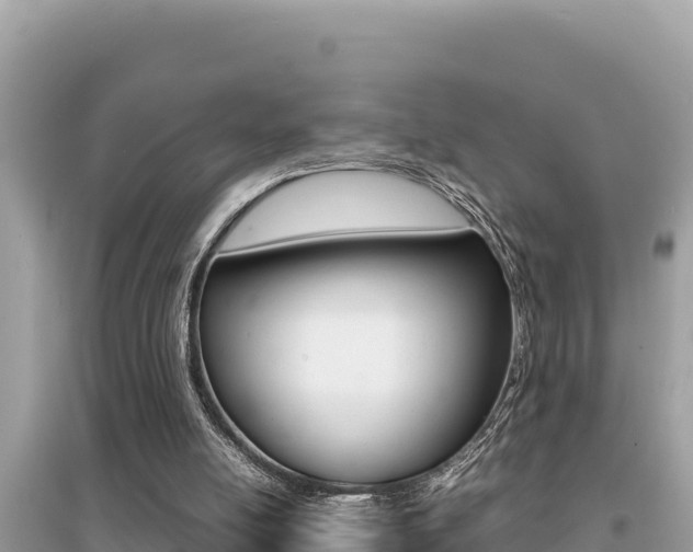 X0000095120054200712070953