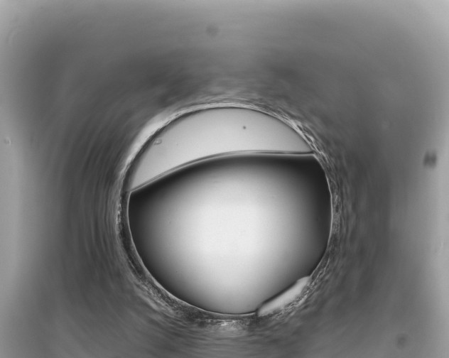 X0000095120056200712070953