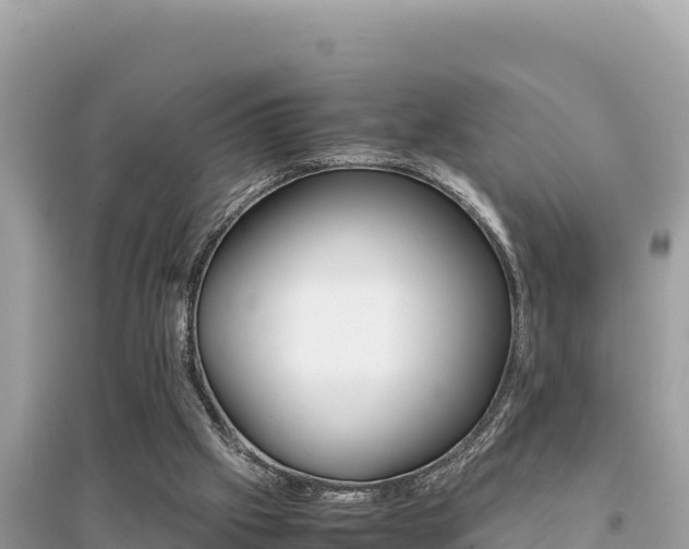 X0000095120057200712070953