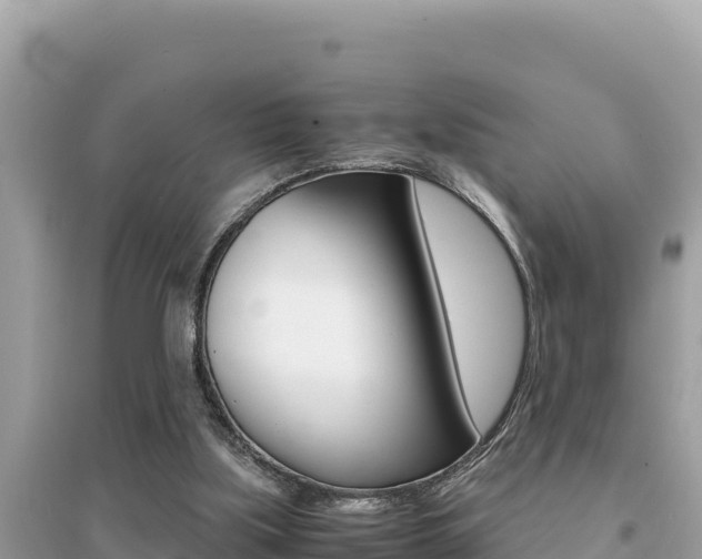 X0000095120059200712070953