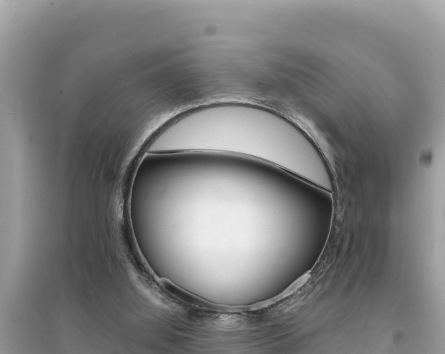X0000095120060200712070953