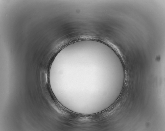 X0000095120061200712070953
